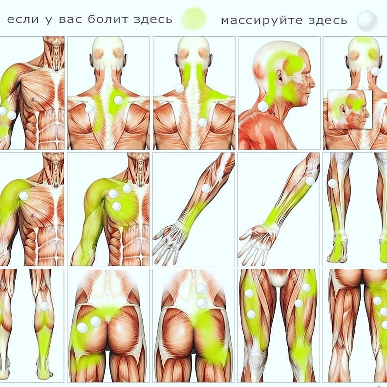 Массажер для Тела Phiten METAX BALL MASSAGER (бордовый, KO607300) | Япония | Уникальный состав